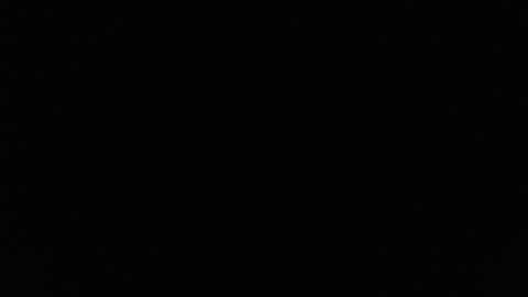 Lilly  online show from February 2025 03:29:01 PM