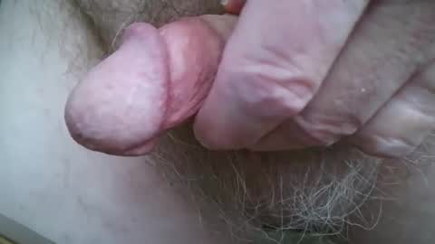 newc09 online show from February 2025 03:43:01 PM