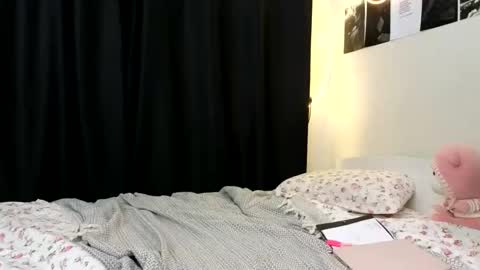 Nova online show from October 2025 04:40:02 PM