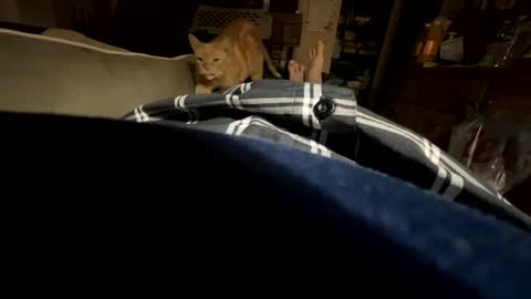 ngianop online show from October 2025 07:40:01 AM