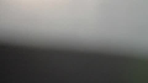 ni983 online show from February 2026 07:56:02 PM