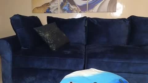 Lilly online show from December 2024 11:33:02 AM