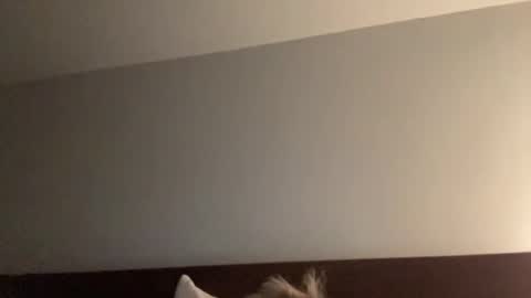 Snapshot of nice_gentle_naughty chatting on December 2024 11:34:02 AM Nice Gentle Naughty online show from December 2024 11:34:02 AM