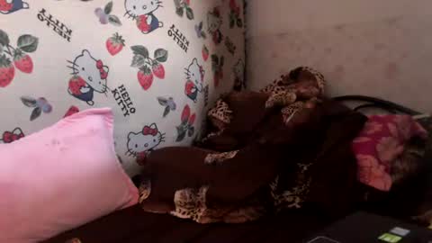 nicharee online show from June 2026 06:38:01 AM