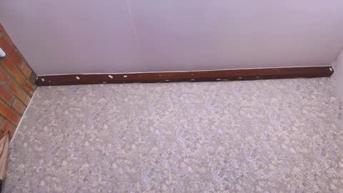 Nicol online show from January 2025 07:16:02 PM