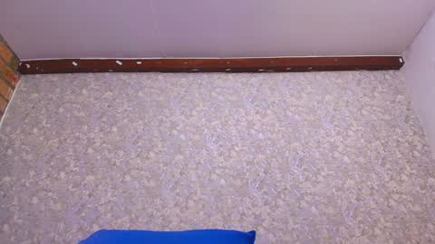 Nicol online show from January 2025 07:10:01 PM