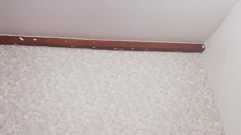 Nicol online show from March 2025 07:17:02 PM