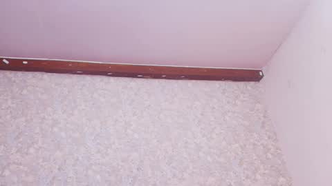 Nicol online show from March 2025 07:50:02 PM