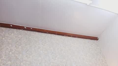 Nicol online show from October 2025 07:44:02 PM