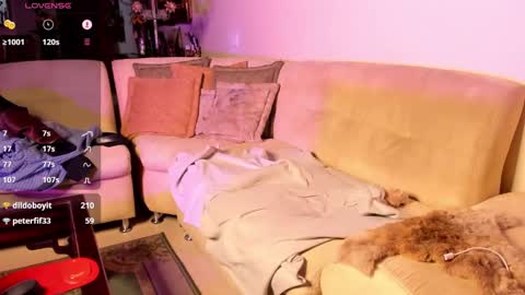 nicolasrodrii online show from January 2025 04:23:02 AM