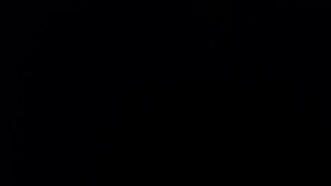 Nicole online show from December 2025 10:08:02 PM