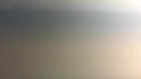 Nicoll  Independent model online show from December 2025 06:09:01 AM