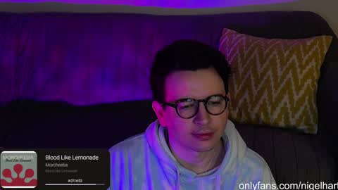 Snapshot of nigelhart chatting on January 2025 02:03:02 AM Nigel Hart online show from January 2025 02:03:02 AM