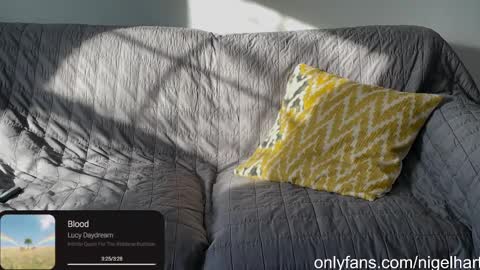 Snapshot of nigelhart chatting on January 2025 03:22:01 PM Nigel Hart online show from January 2025 03:22:01 PM