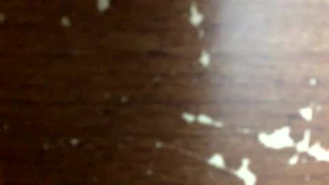 nightmoves1970 online show from April 2026 02:26:02 AM