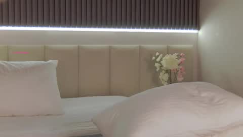 Snapshot of nikadines chatting on November 2025 02:54:02 AM Nika online show from November 2025 02:54:02 AM