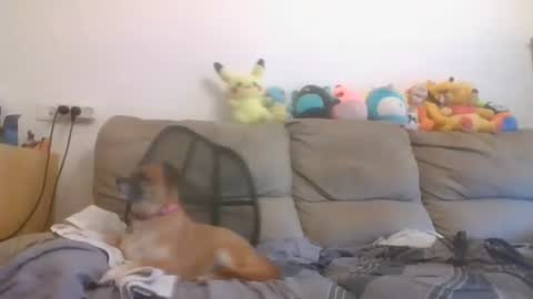 Brian and Logan Brogan online show from October 2025 06:36:01 AM