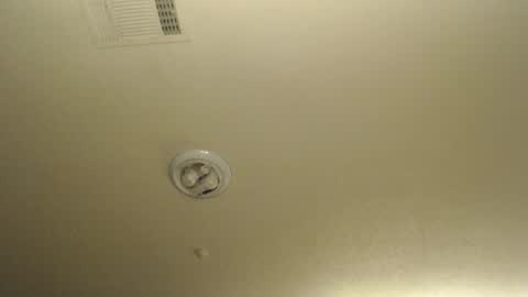 Nikki Mastersgirl1091 online show from March 2026 01:15:02 PM