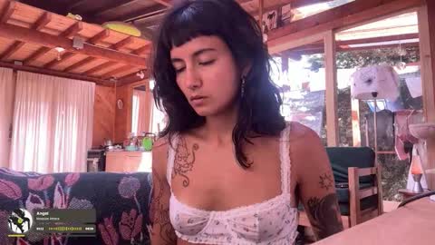 Nina.  online show from October 2025 07:24:01 PM