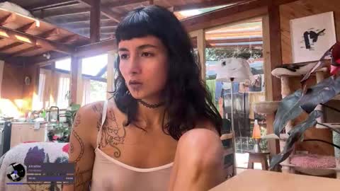 Nina.  online show from November 2025 09:08:01 PM