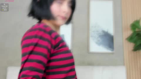 NINA online show from January 2025 12:04:02 PM