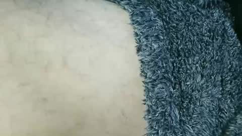 nineinchhard online show from March 2026 02:12:02 PM