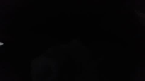 Ninjadance online show from January 2025 11:21:02 PM