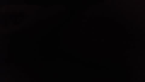 Ninjadance online show from February 2025 09:26:02 AM