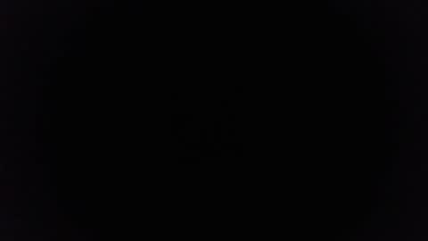 Ninjadance online show from March 2025 01:03:01 PM