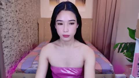 nirafox online show from February 2026 02:26:02 AM