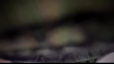 Tears Lora online show from February 2025 05:08:01 AM