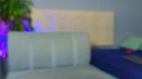 NOAH  online show from February 2025 08:33:02 AM