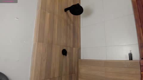 Snapshot of noah_dupont_ chatting on December 2025 11:17:02 AM noah_dupont_ online show from December 2025 11:17:02 AM