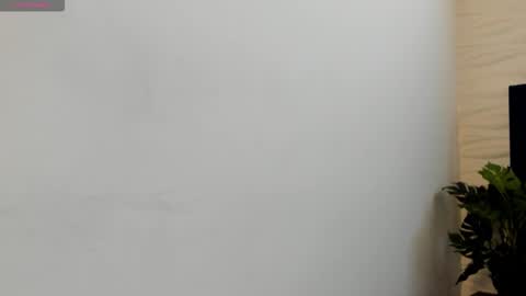 Snapshot of noah_dupont_ chatting on January 2026 11:48:02 AM noah_dupont_ online show from January 2026 11:48:02 AM