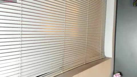 Snapshot of noah_dupont_ chatting on February 2026 11:39:02 AM noah_dupont_ online show from February 2026 11:39:02 AM