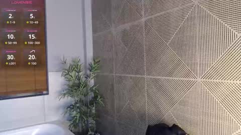 Snapshot of noah_dupont_ chatting on February 2026 11:53:01 AM noah_dupont_ online show from February 2026 11:53:01 AM