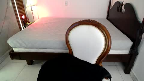 Noah  online show from March 2026 07:41:02 PM