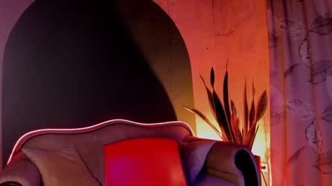 Noah online show from December 2024 08:28:02 AM