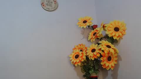 Noah Millers online show from January 2025 07:52:02 AM