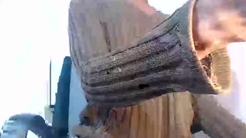 Noah Millers online show from January 2025 10:27:02 AM