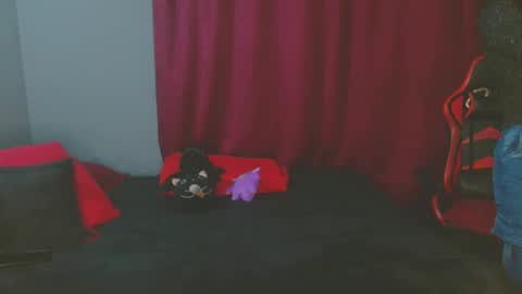 Snapshot of noamartin_ chatting on February 2025 01:59:02 AM Noamartin online show from February 2025 01:59:02 AM