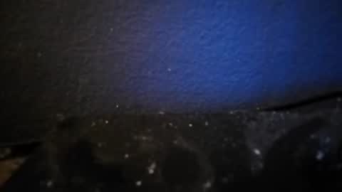 Nocycle000 online show from September 2025 06:51:02 PM