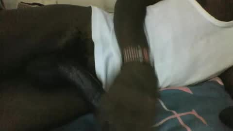 noella1234 online show from March 2026 11:16:01 PM