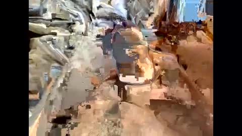 nolplus online show from March 2025 07:19:01 AM