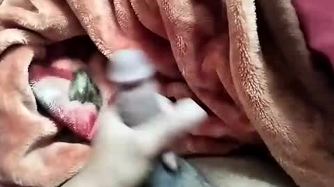 sim  nib online show from December 2024 05:44:01 AM