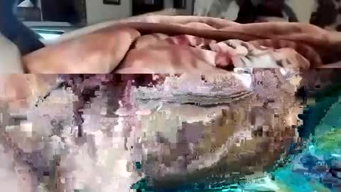 sim  nib online show from March 2025 10:31:02 PM