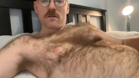 No Plan online show from December 2024 06:08:01 PM