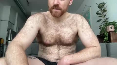 No Plan online show from February 2025 05:57:02 PM