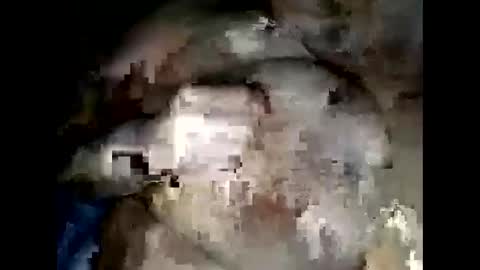 normajeen77777 online show from April 2026 07:47:02 AM