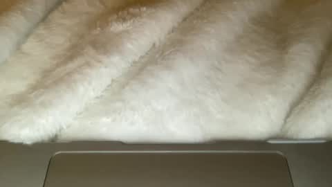 Snapshot of noscandal chatting on December 2025 05:03:02 AM noscandal online show from December 2025 05:03:02 AM